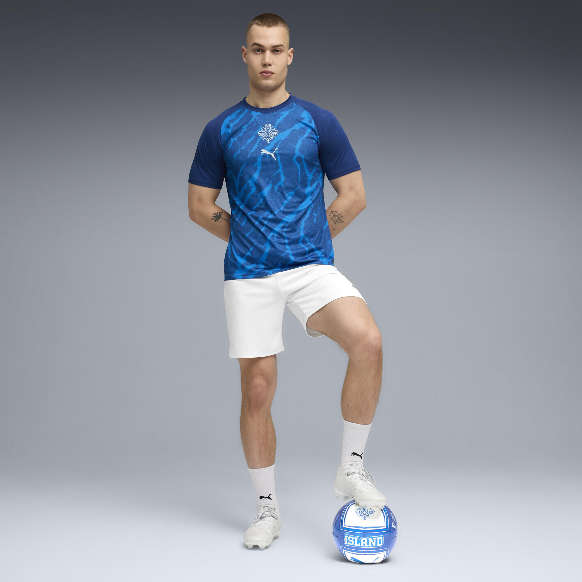 Camiseta de calentamiento Islandia Hombre PUMA 4/5