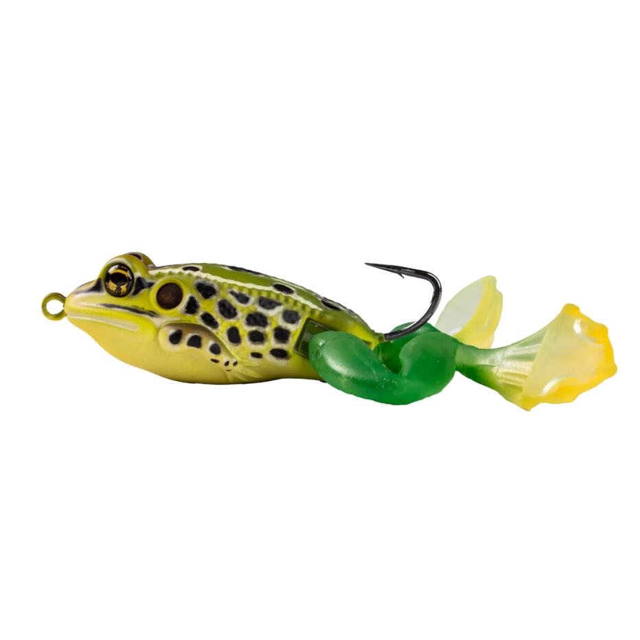 LIVE TARGET picture