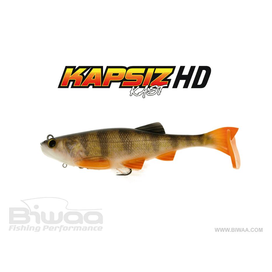BIWAA picture