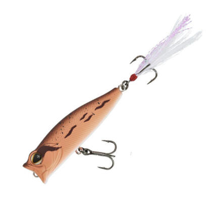 Sakura Oppop popper 5,8 cm - 7 g - Brown Rana