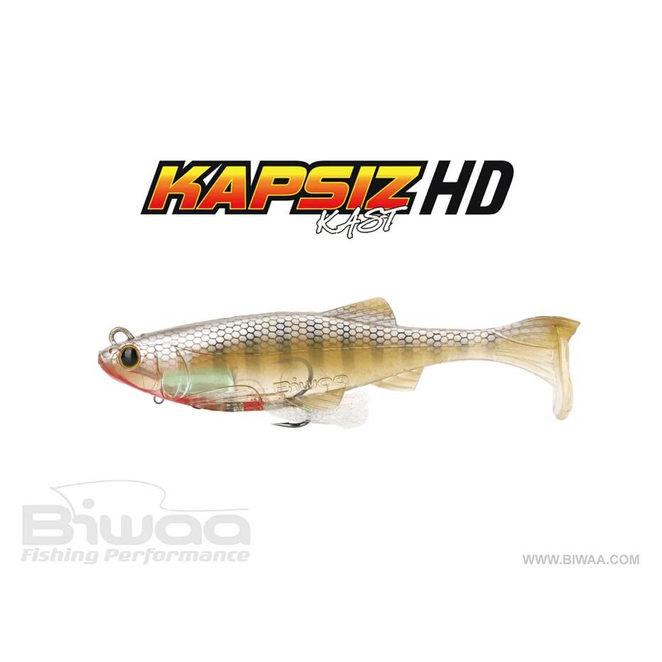 BIWAA picture