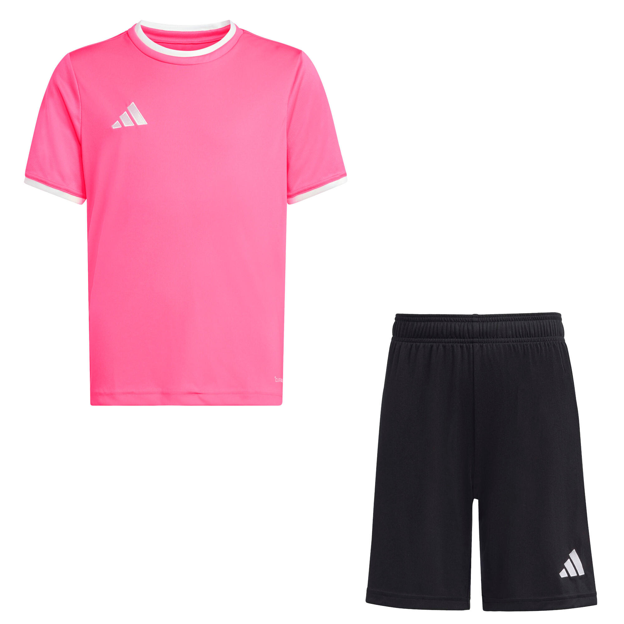 ADIDAS picture