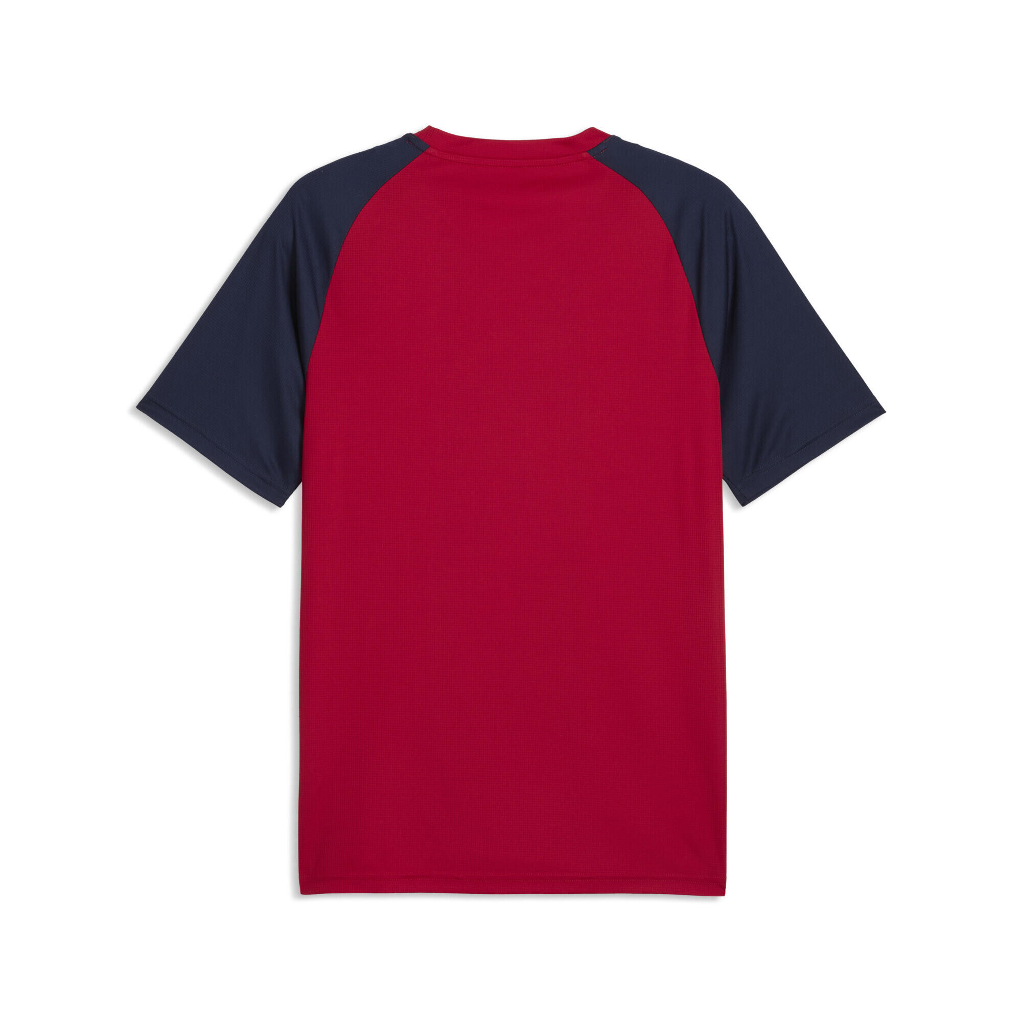 Tsjechië warm-up-shirt voor heren PUMA 5/5