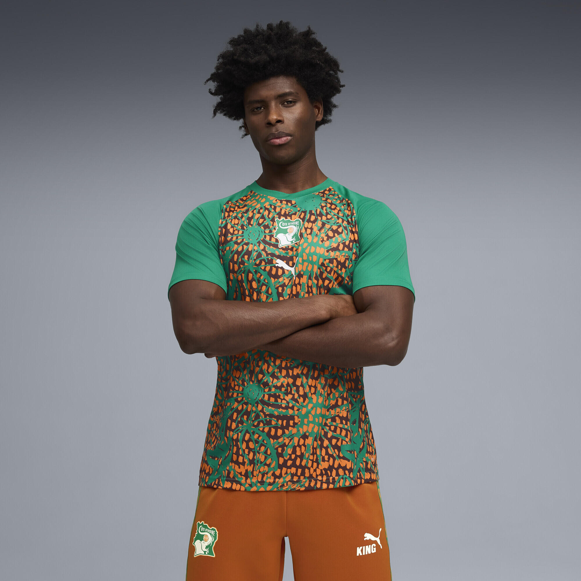 PUMA picture