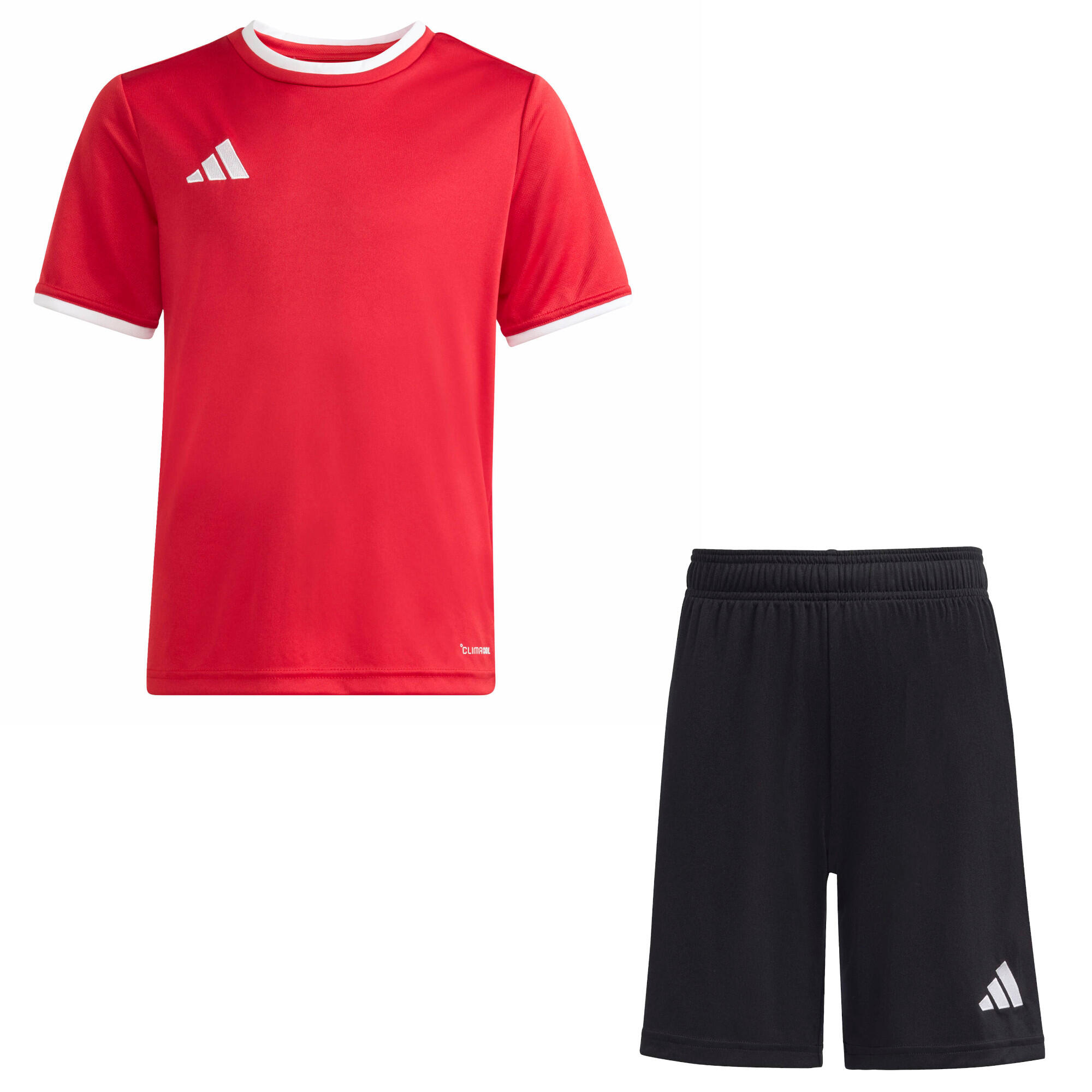 ROT / WEISS