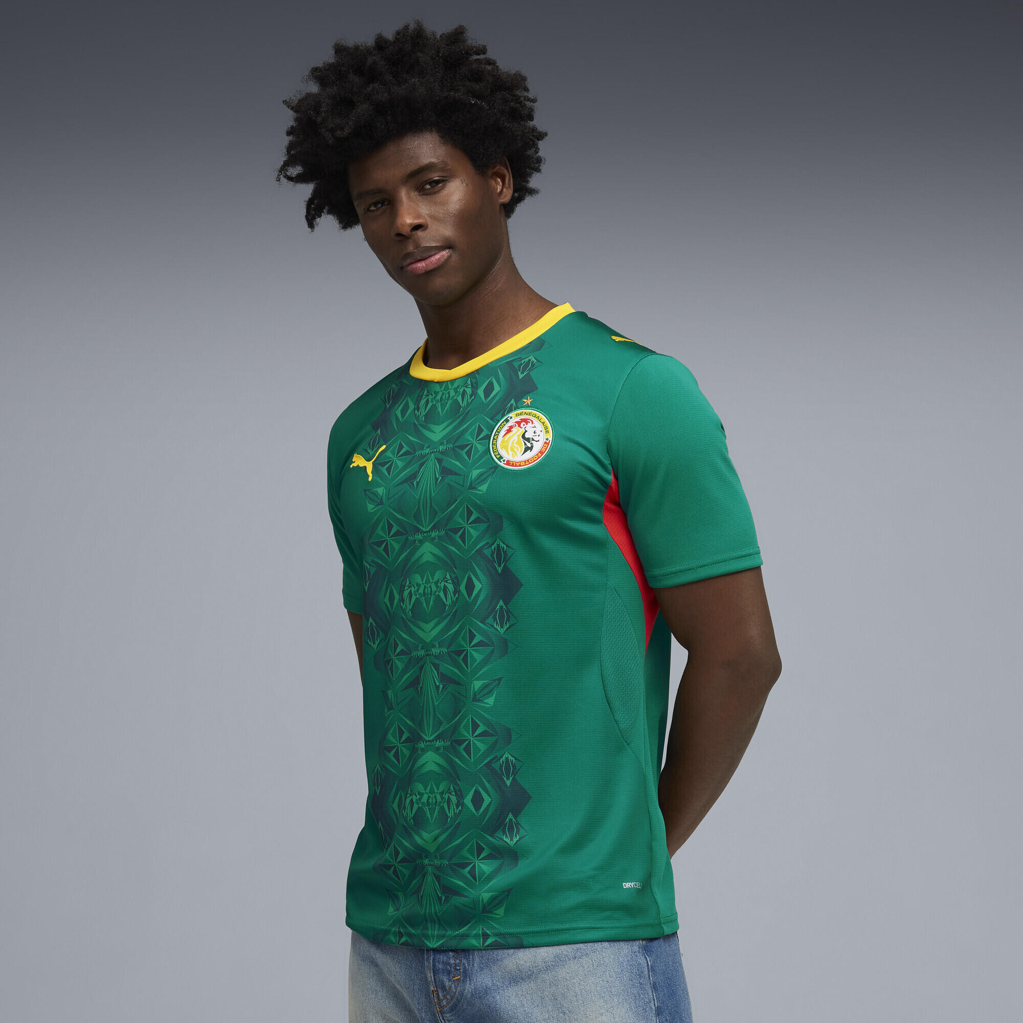 PUMA picture