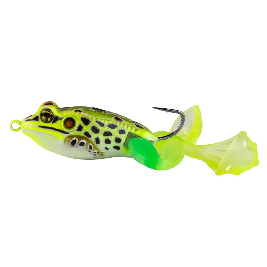 LIVE TARGET picture