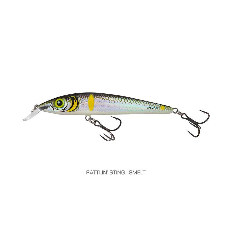 SALMO picture