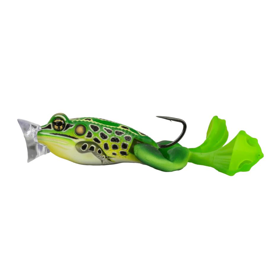 LIVE TARGET picture