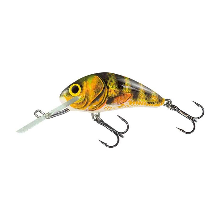 SALMO picture