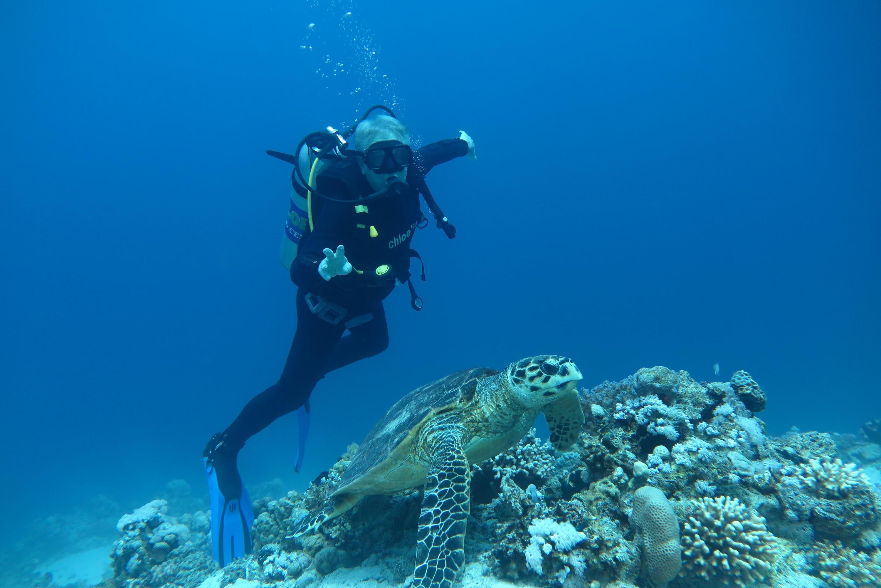 Open Water-duikcursus in Hurghada, 3 dagen 1/1