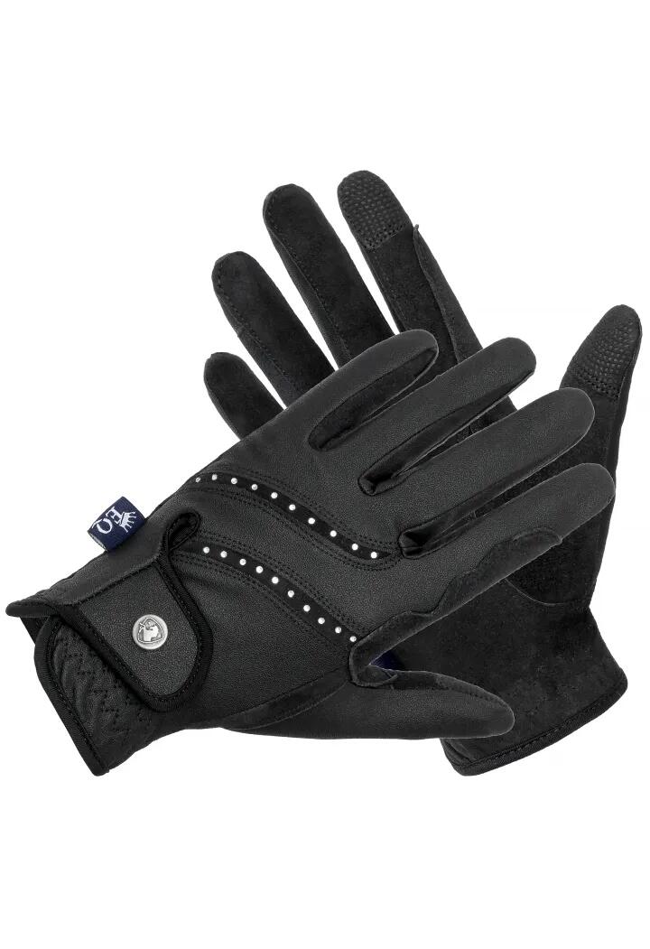 EQUESTRIAN QUEEN picture