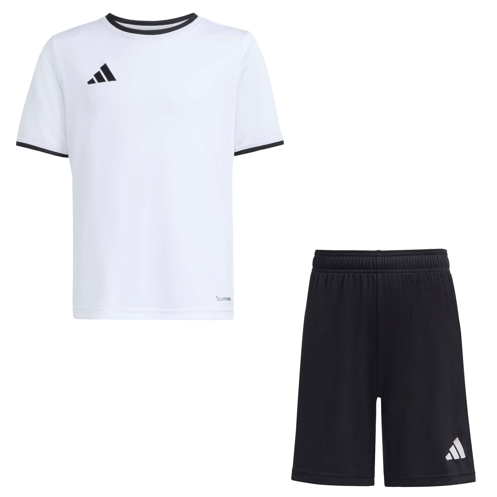 ADIDAS picture