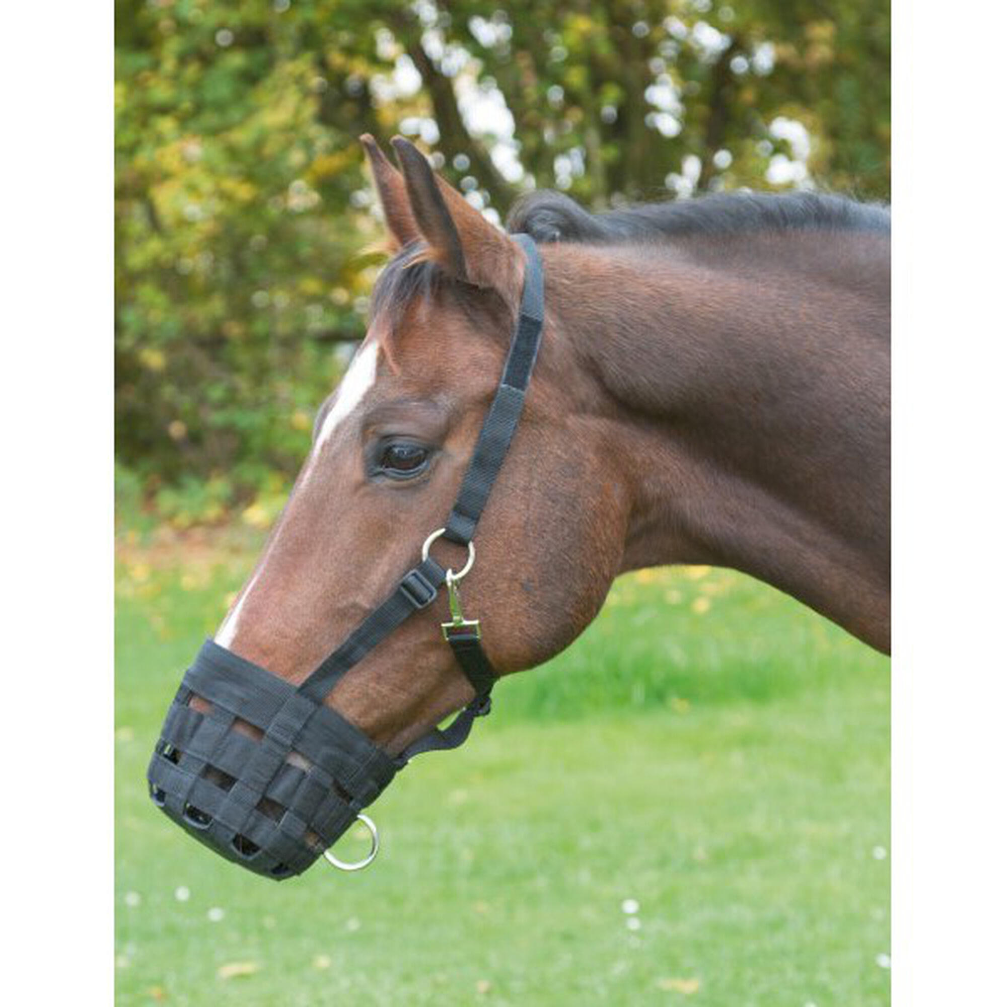 Muselière/panier en nylon Kerbl pony 5/5