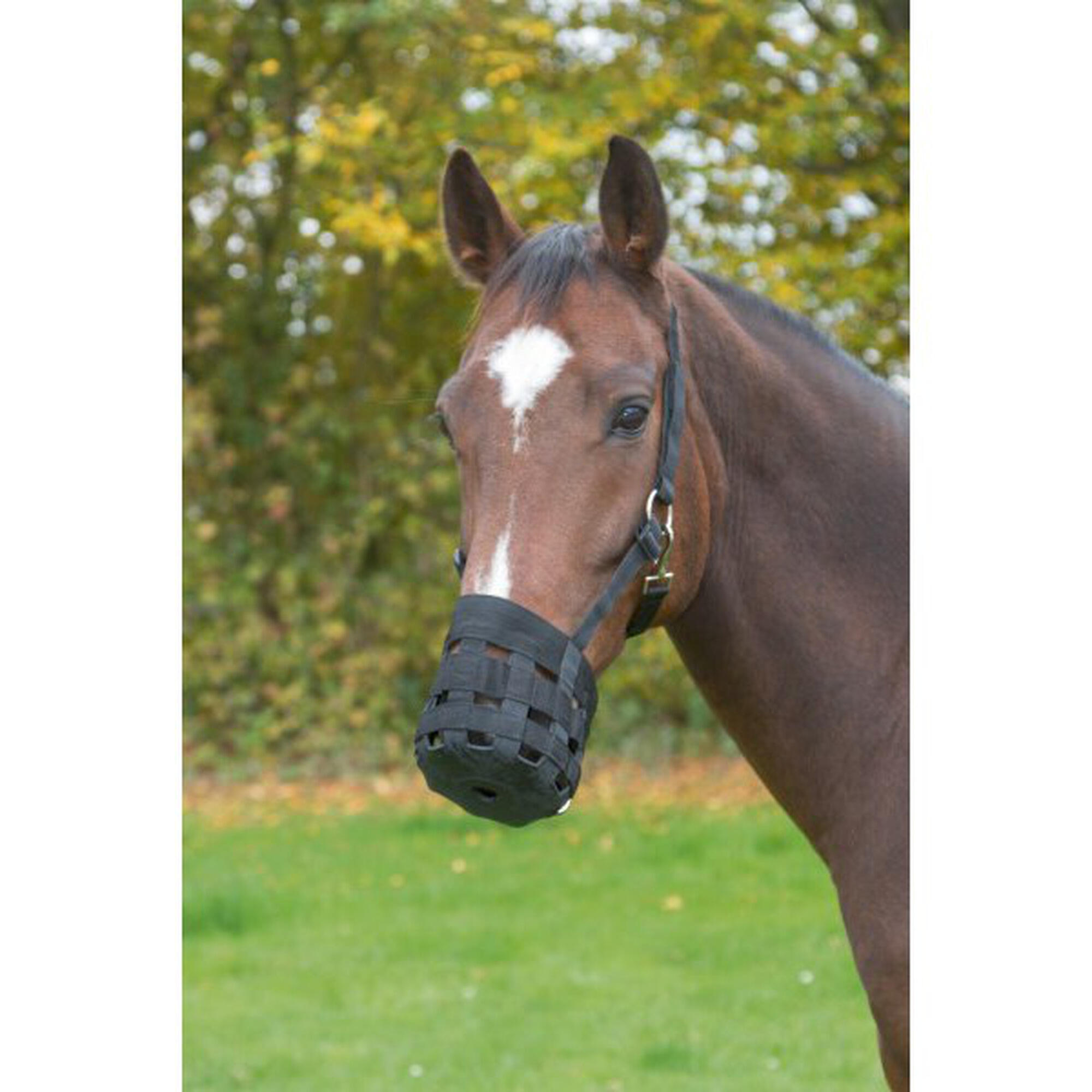 Muselière/panier en nylon Kerbl pony 4/5
