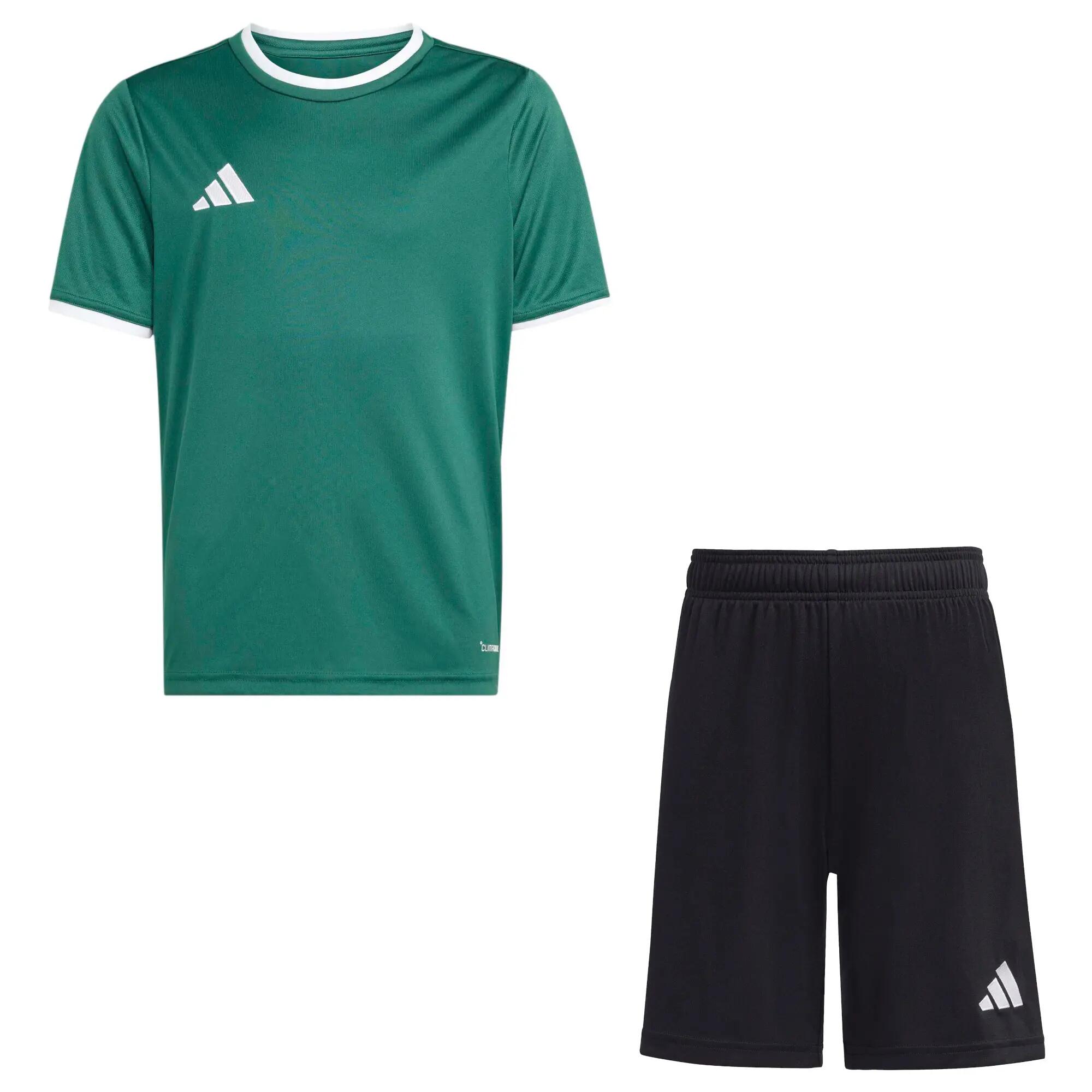 ADIDAS picture