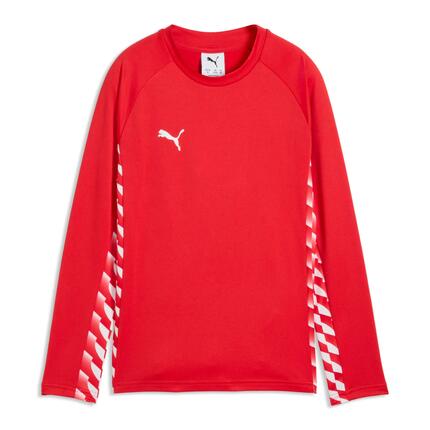 Maillot manches longues enfant Puma Teamliga26