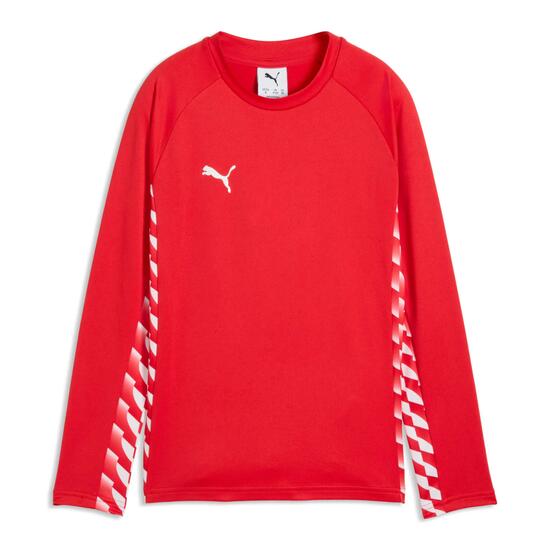 Maillot manches longues enfant Puma Teamliga26
