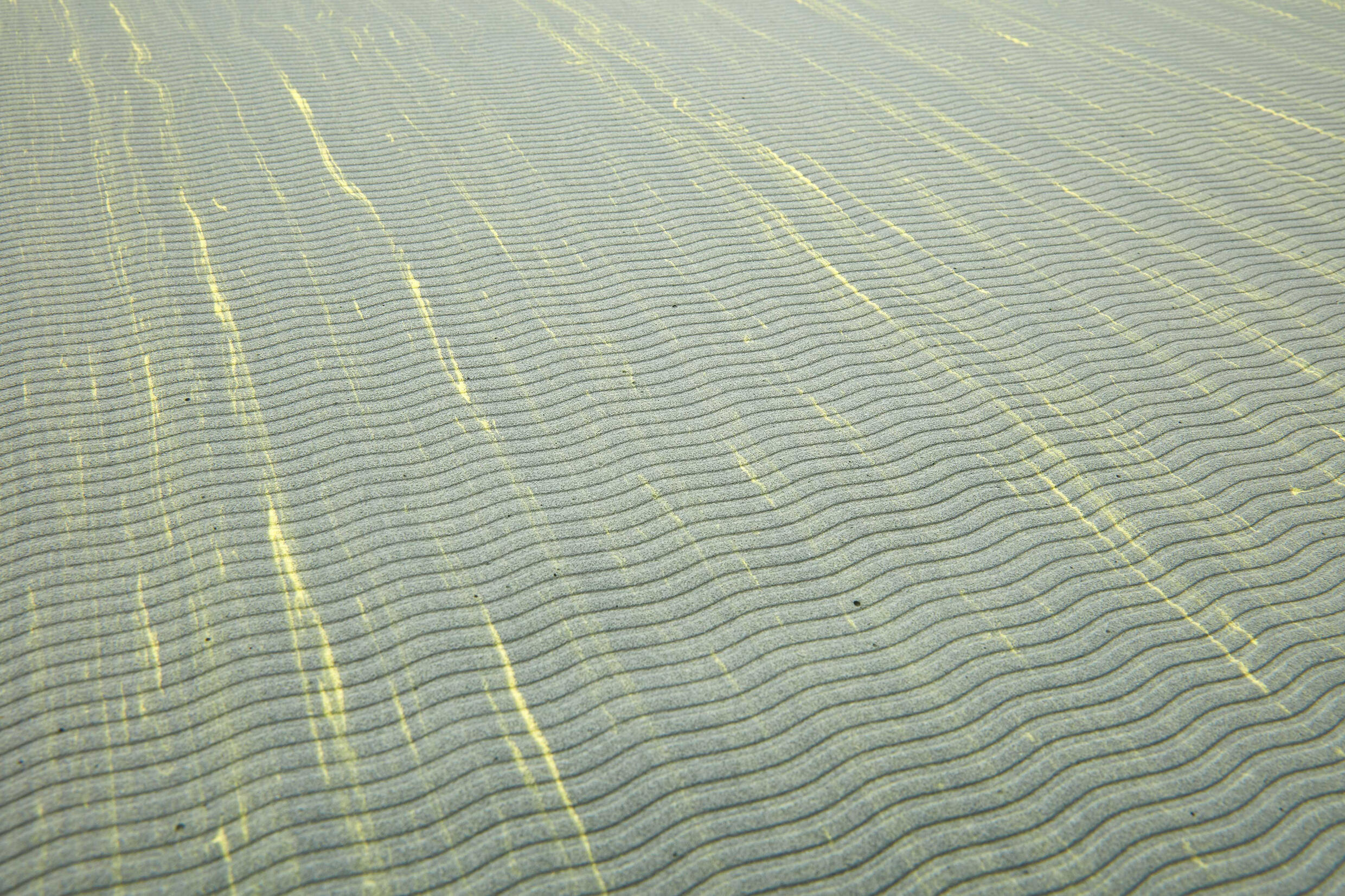Tapis de yoga Reebok Camo, 5 mm, jaune/vert 4/5