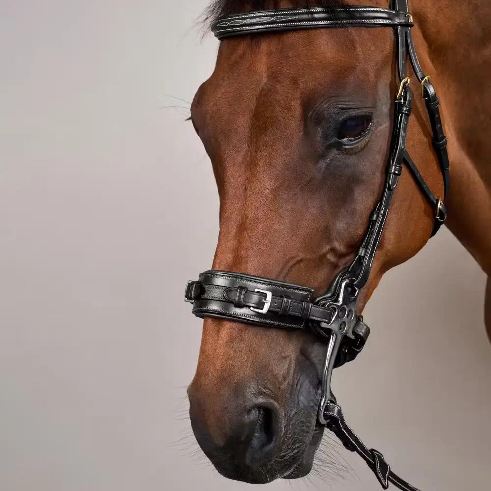 Hackamore per cavallo Dy'on 3/3