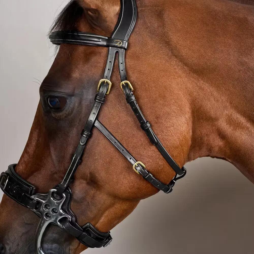 Hackamore per cavallo Dy'on 2/3