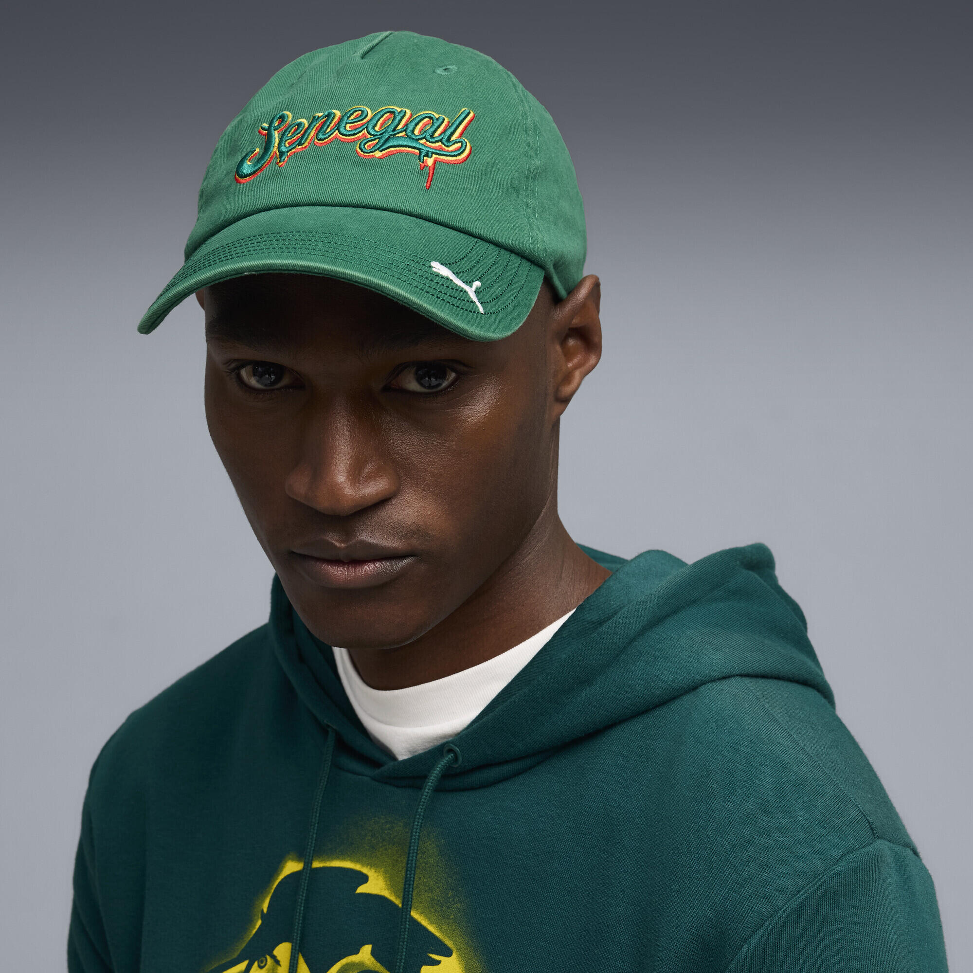 Senegal ftblCulture pet PUMA 2/4