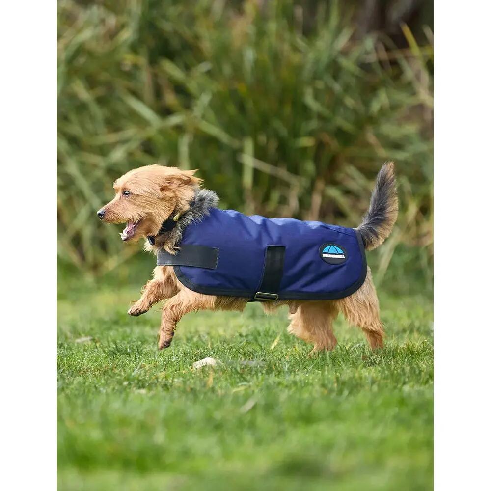 Cappotto per cani impermeabile Weatherbeeta Comfitec Classic 4/5