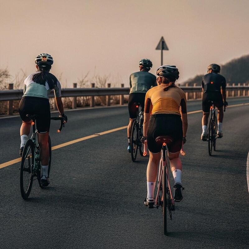 Stopuri spate pentru biciclete Wozinsky