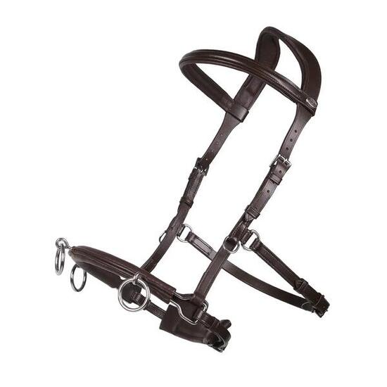 Caveçon pour cheval en cuir QHP