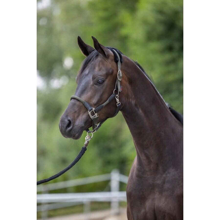 Pony halster Kerbl Cordano 2/4