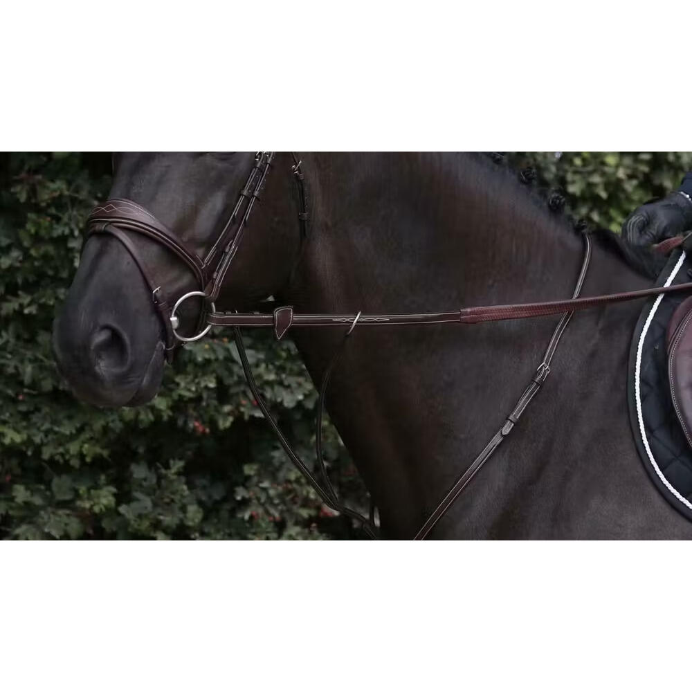 Les parties de la tête du cheval ou poney Galop 2 et 3 - Kahoot! Quiz