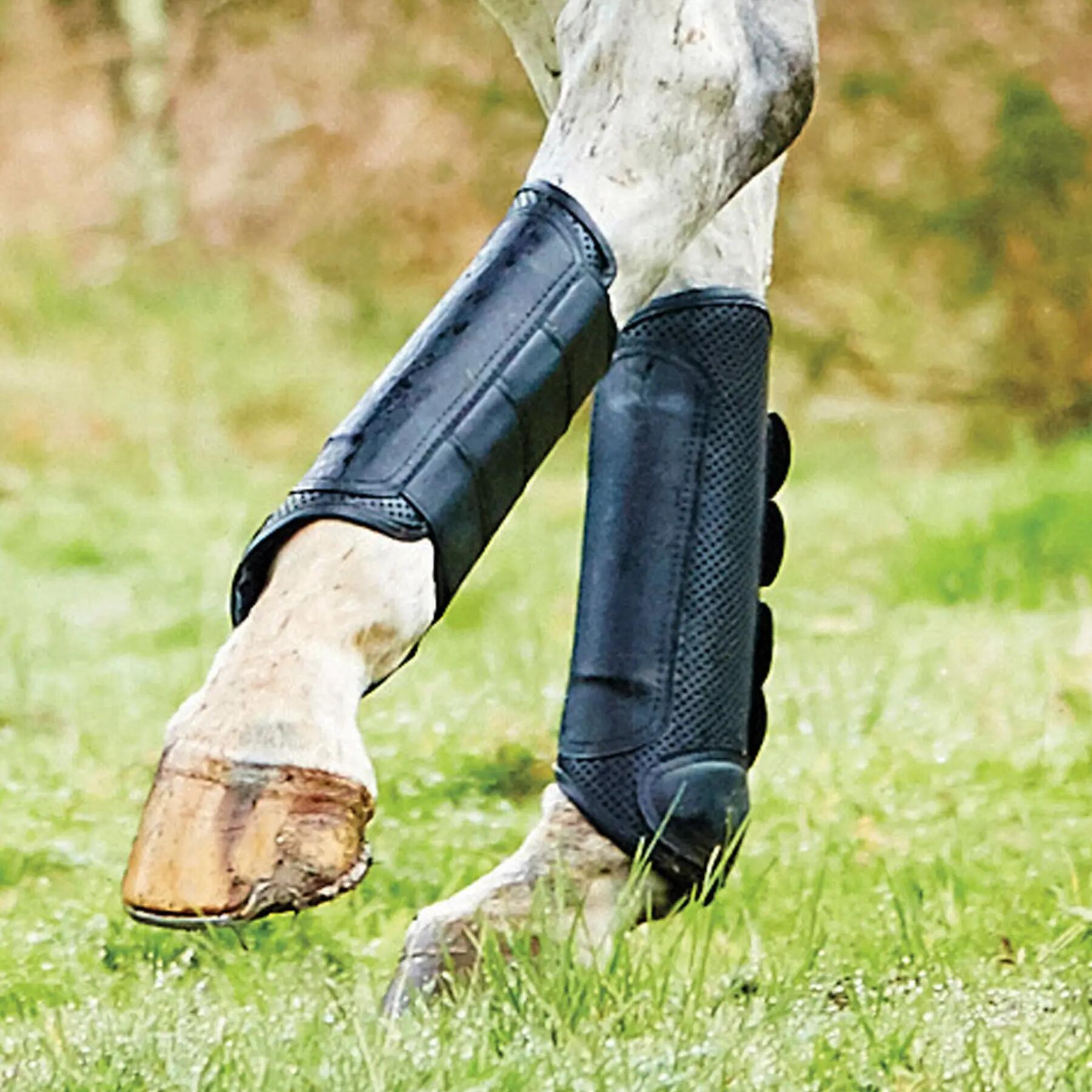 Protectores delanteros de caballo Weatherbeeta Roma Cross Country 3/3