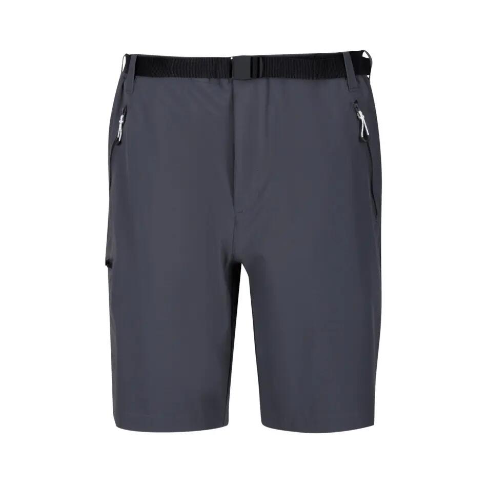 Hiking shorts Regatta Xert III