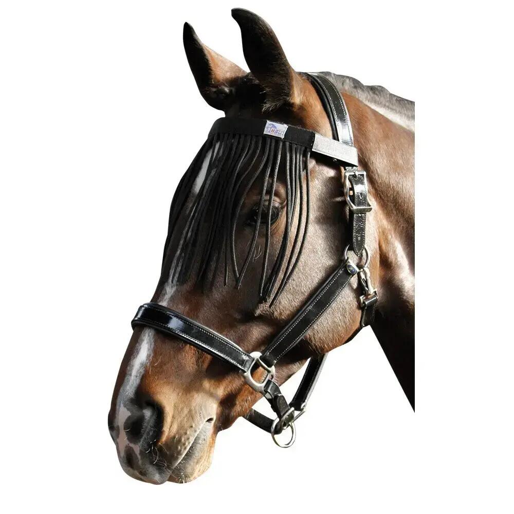 HARRYS HORSE picture