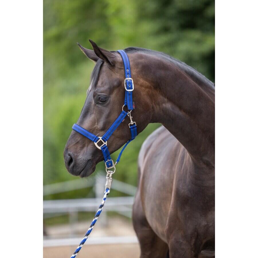 Licol pony 2 réglages Kerbl mustang 2/4