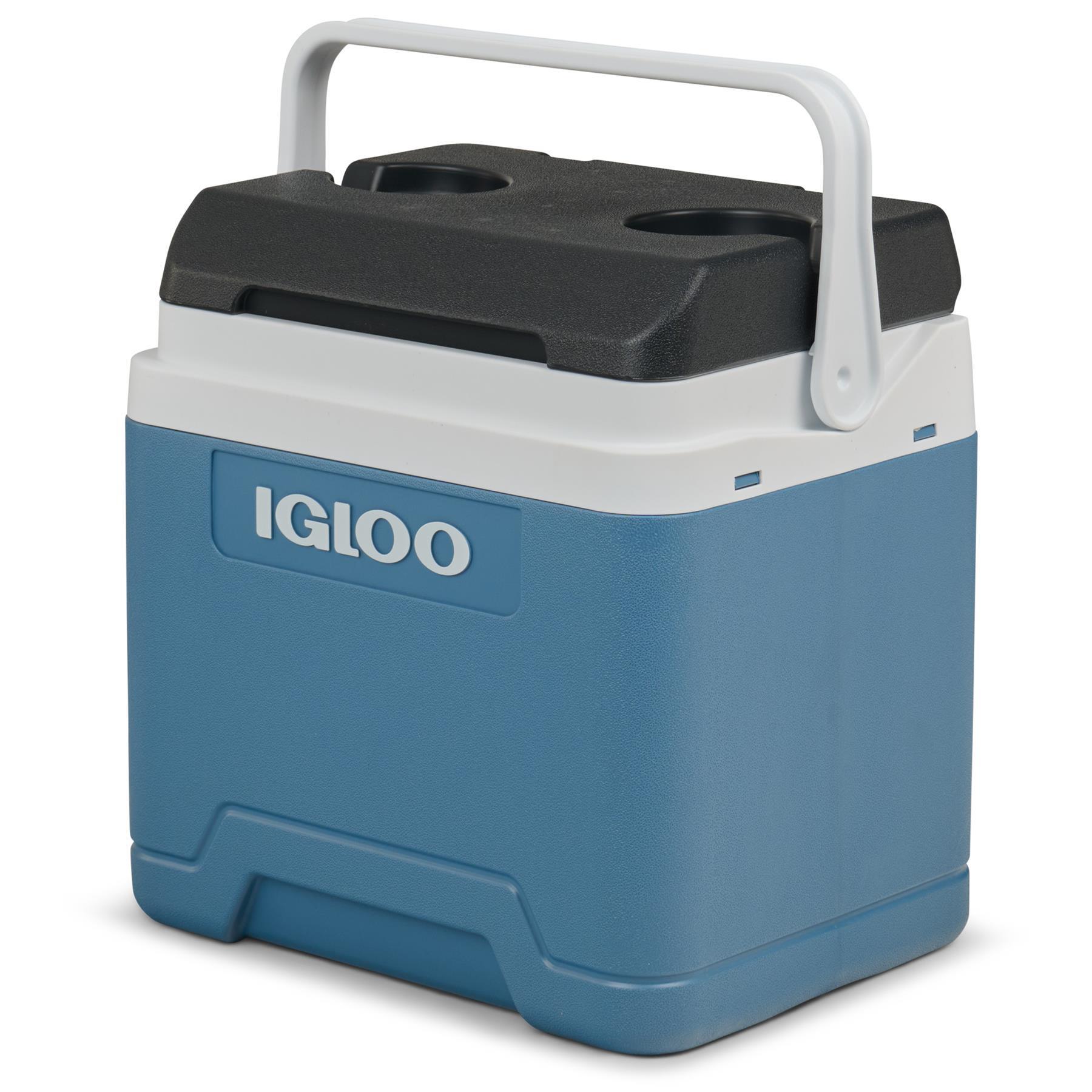 IGLOO picture