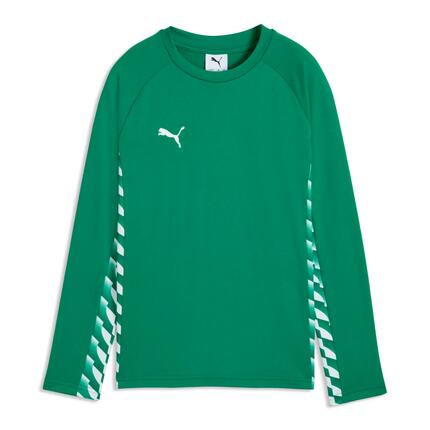 Maillot manches longues enfant Puma Teamliga26