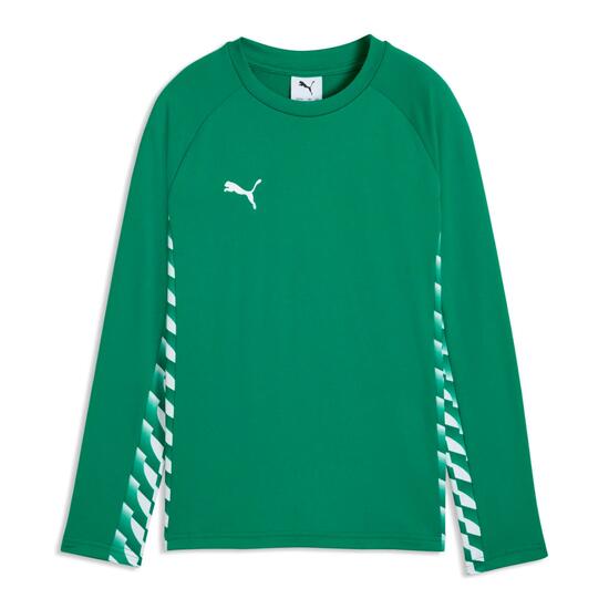 Maillot manches longues enfant Puma Teamliga26