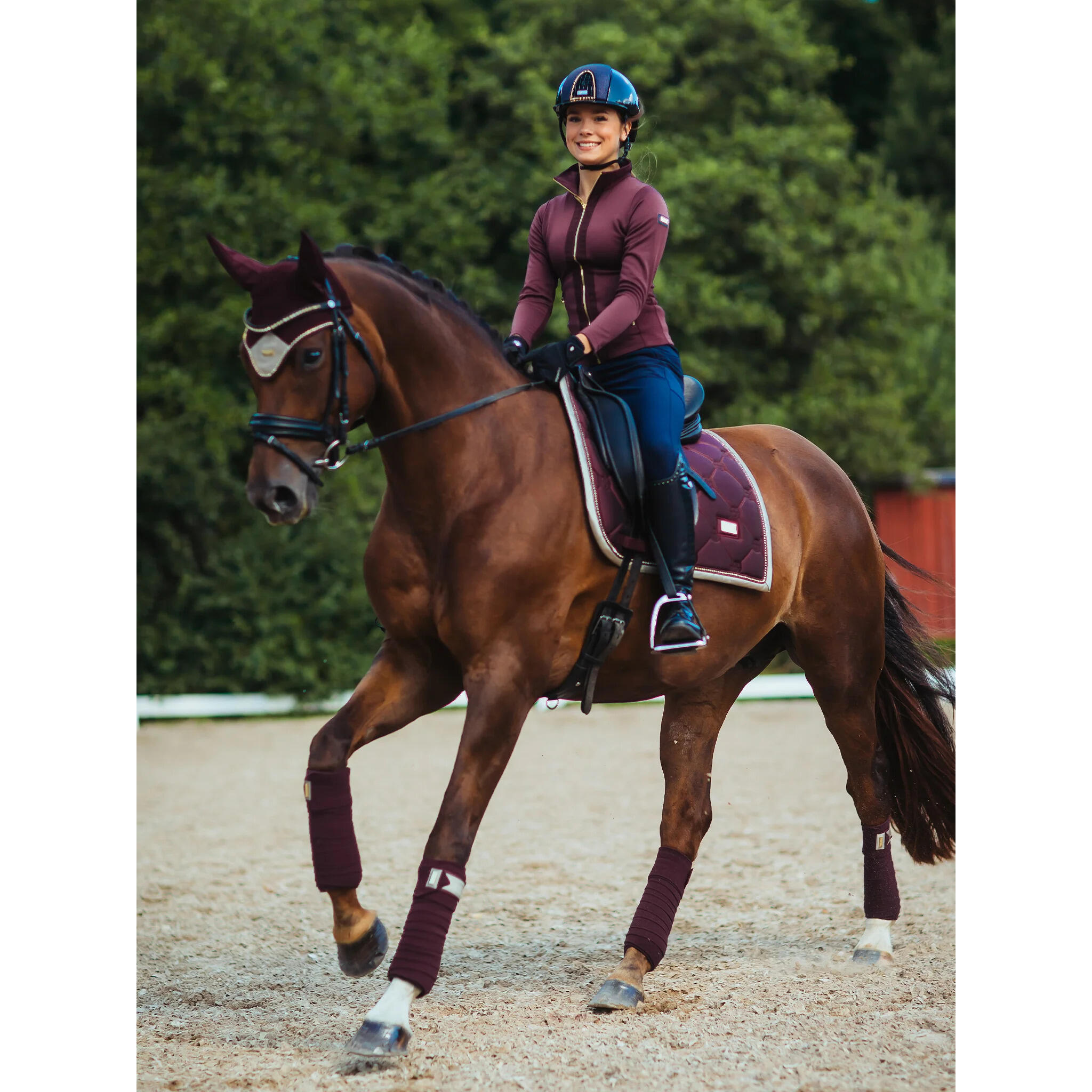 Mata ujeżdżeniowa dla koni Equestrian Stockholm 3/3
