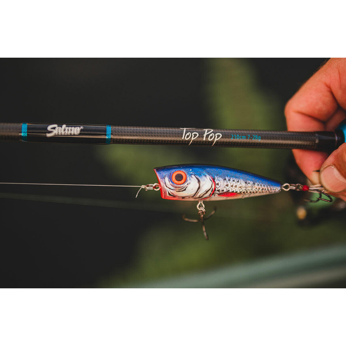 Salmo Top Pop 210cm 7-28Gr 3/5