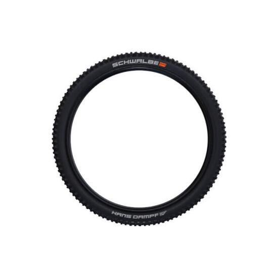 Pneumatico morbido Schwalbe Hans Dampf 26x235 Hs491 Evo Super Trail Tubeless Ad