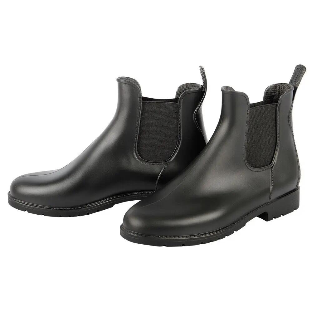 HARRYS HORSE picture