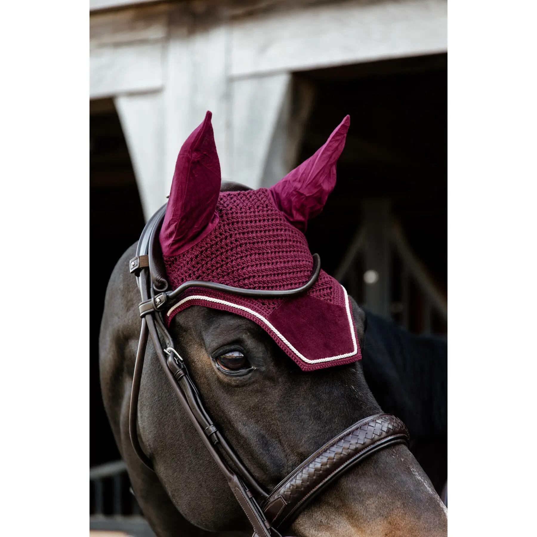 Bonnet anti-mouche Wellington velvet bordeaux 2/5