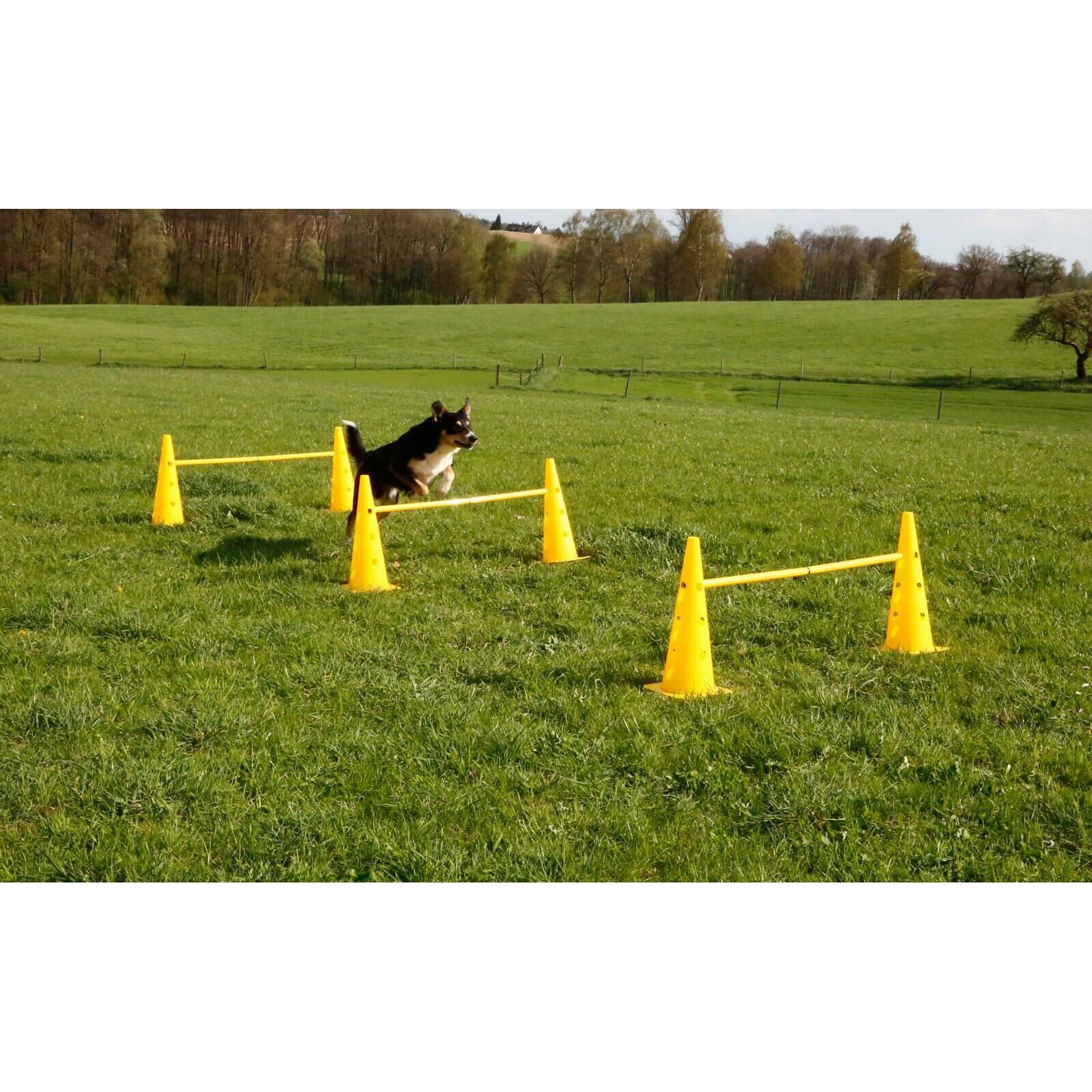 Jouet pour chien d'obstacle Kerbl Agility 5/6