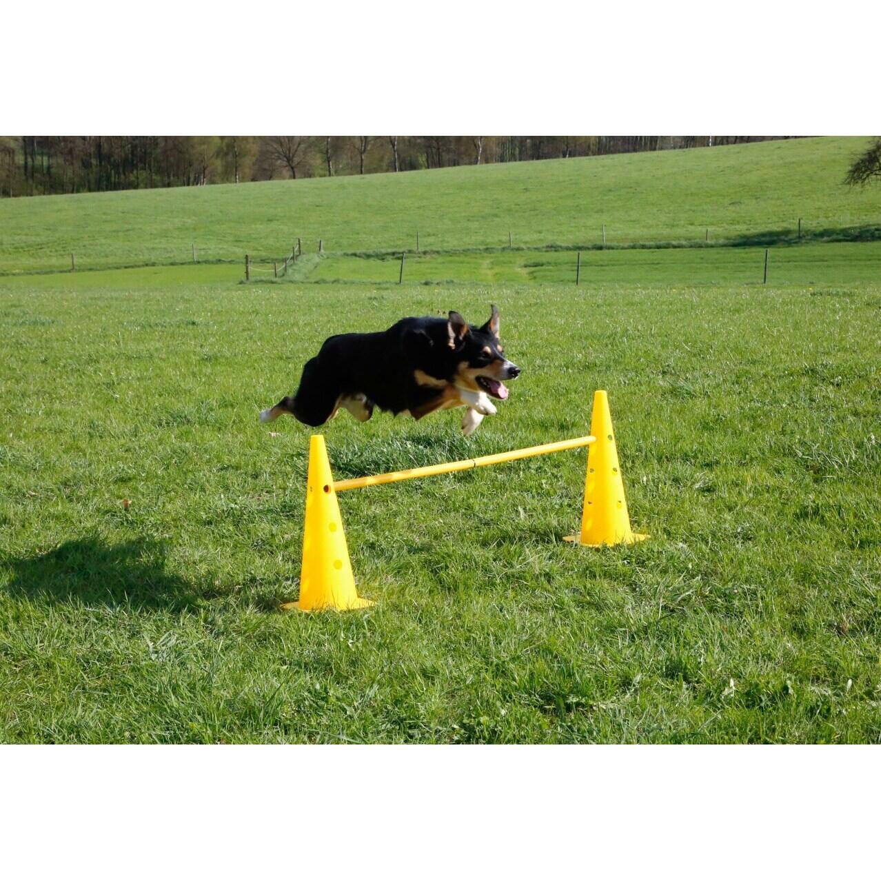 Jouet pour chien d'obstacle Kerbl Agility 4/6