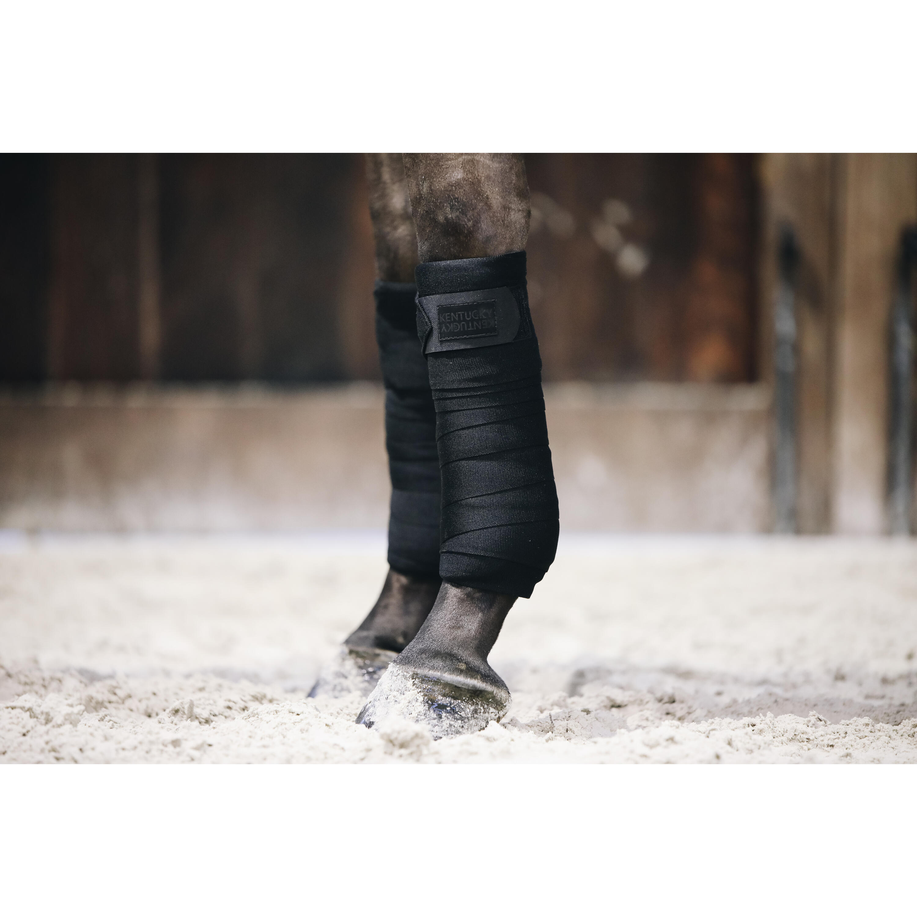 Bandes de travail Repellent set de 2 - Kentucky 2/5