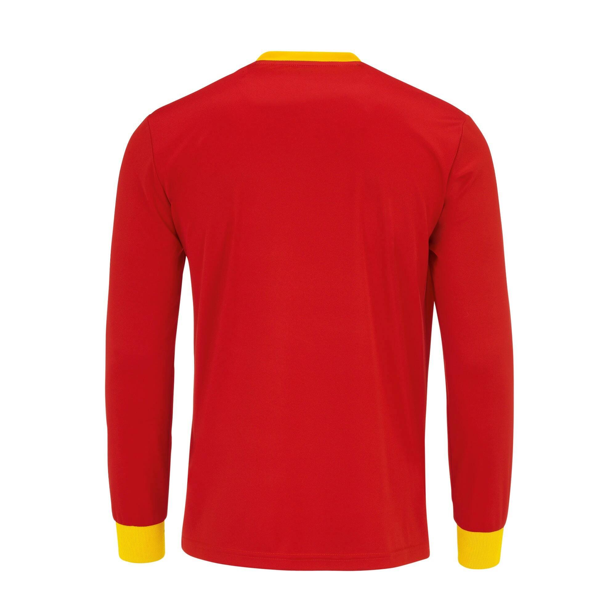 Kids' Long Sleeve Jersey Errea Jaro 2/3