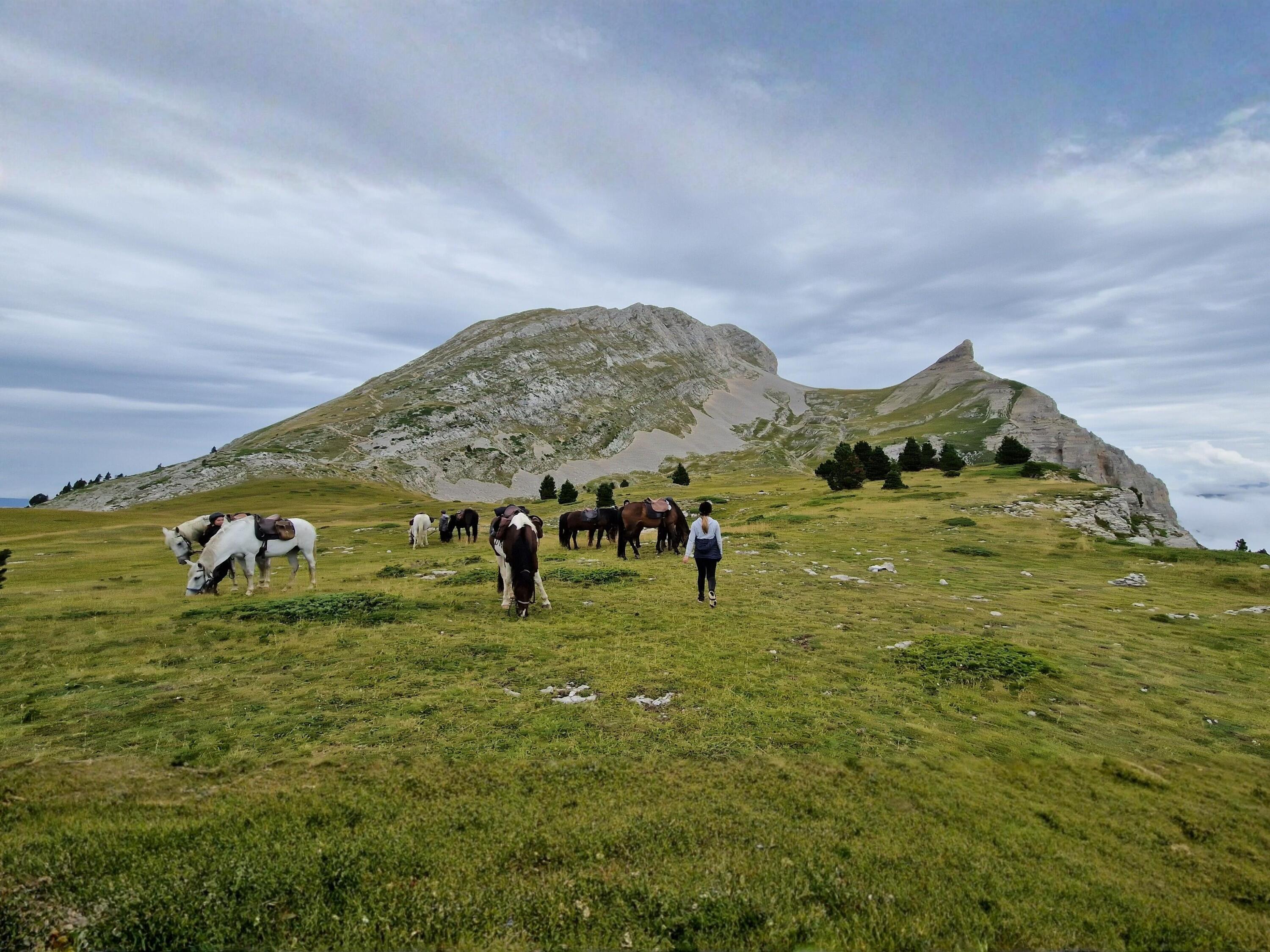 Randonnée équestre sur les hauts plateaux du Vercors 1/1