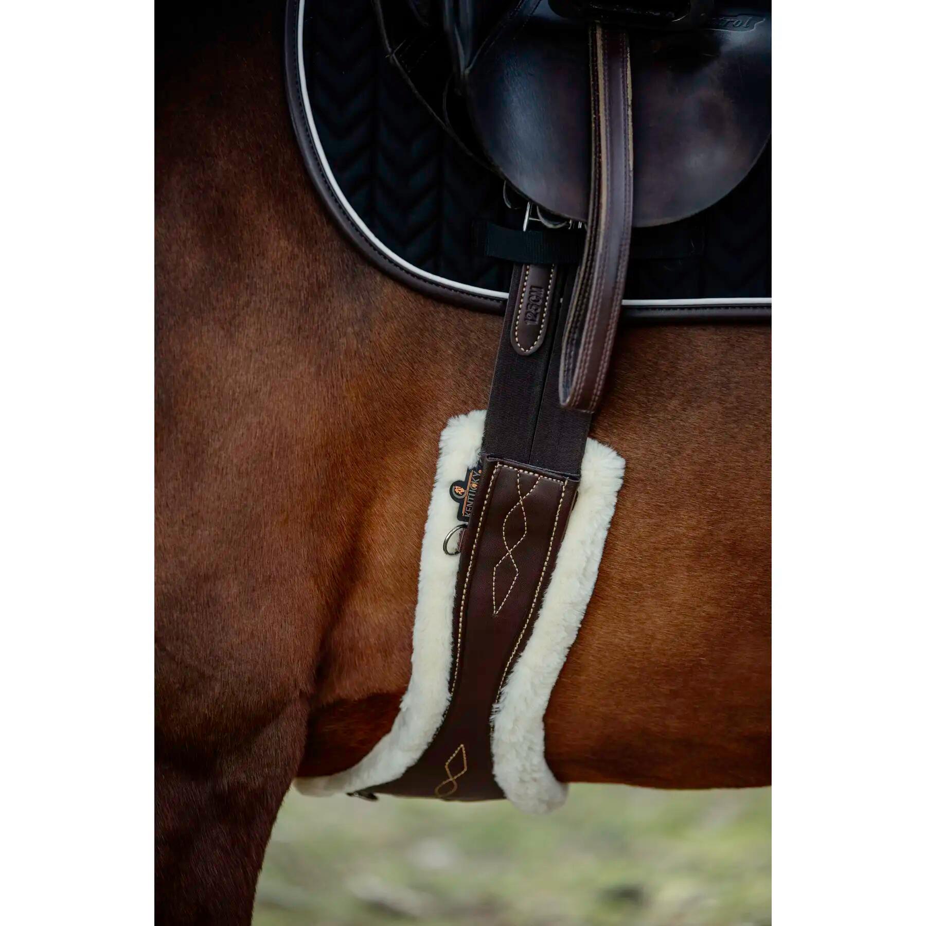 Sangle anatomique pour cheval mouton Kentucky 5/7