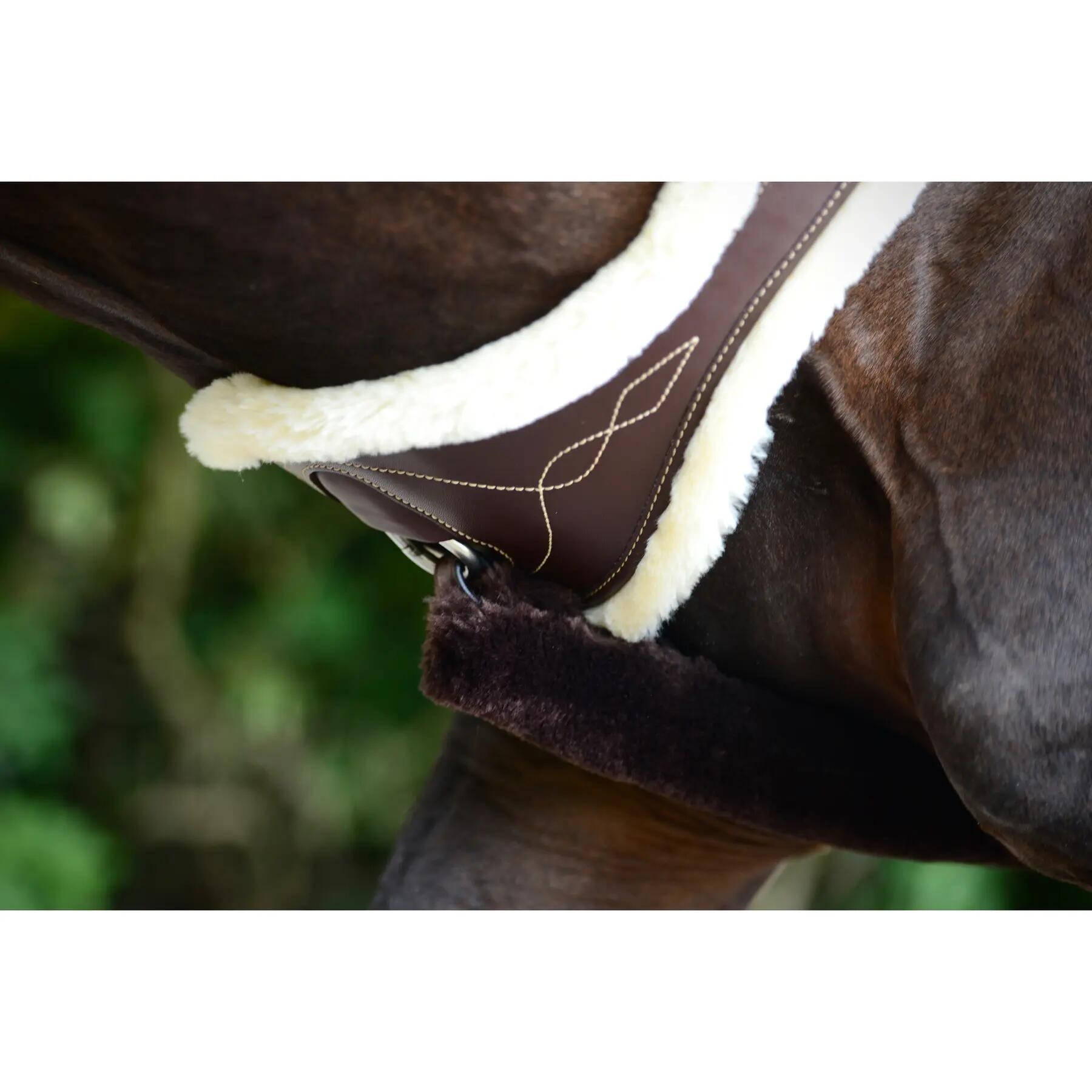 Cincha anatómica para caballos ovinos Kentucky 4/5